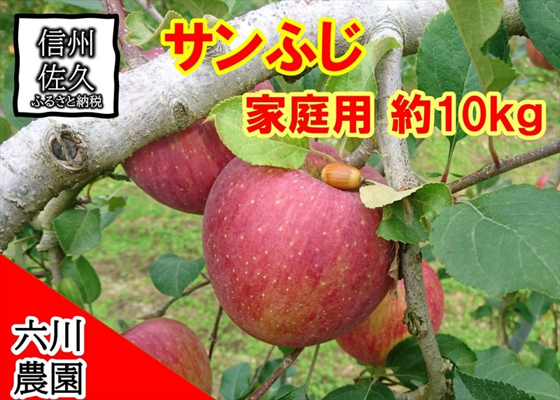 
            家庭用 サンふじ約10kg（１箱　28・32・36・40・46・50個入り） りんご フルーツ 果物〈出荷時期:2024年12月1日～12月25日〉【 当園にて愛情たっぷりに育てたりんご 長野県 佐久市 六川農園】
          