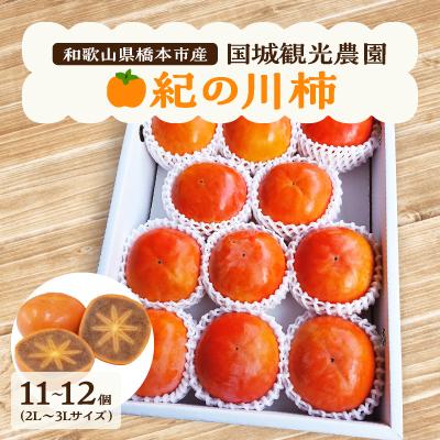 ふるさと納税 橋本市 【2026年度発送分】国城観光農園の紀の川柿11〜12個(2L〜3Lサイズ)