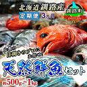 【ふるさと納税】【定期便 3ケ月連続】 お魚の目利きのプロにお任せ！北海道産（国産） 天然 鮮魚 約500g～1kg（釧路の鮮魚セット）【 北海道 釧路町 】 ワンストップ特例制度 オンライン