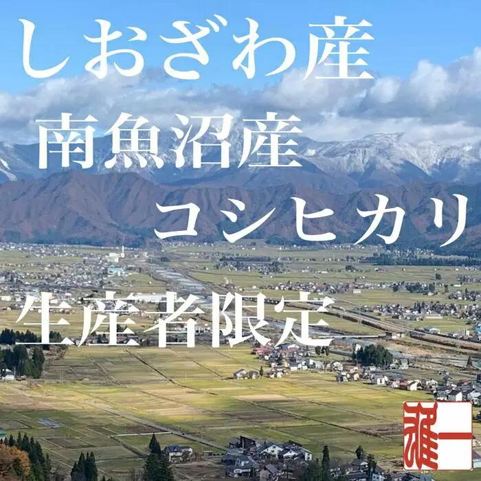 【令和7年産】【定期便： 5Kg×6ヶ月】生産者限定 契約栽培 南魚沼しおざわ産コシヒカリ【定期便 銘柄米 ブランド米 精米 こしひかり コシヒカリ 魚沼産 新潟米 産地直送 お米 米 こめ コメ ご