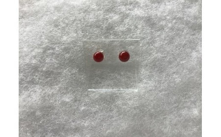 血紅Tama ピアス 5.8mm | 珊瑚 血赤珊瑚 血紅 サンゴ さんご 血赤サンゴ ジャパンレッド 赤 ピアス ゴールド アクセサリー 高知県 南国市
