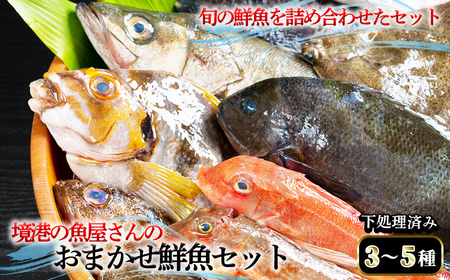 ＜平日着※指定日不可＞境港の魚屋さんのおまかせ鮮魚セット(3～5種) 下処理済み 海鮮 鮮魚 詰め合わせ 海の幸【sm-DD013・sm-DD014】【Workplays】