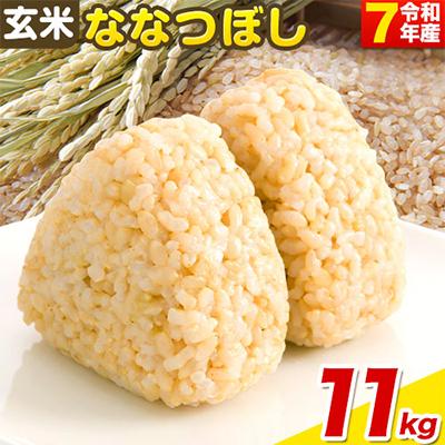 ふるさと納税 当別町 【令和7年産】玄米ななつぼし11kg_tb11-017