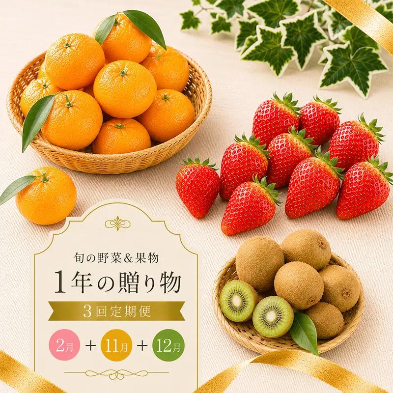 【定期便3回】 いちご キウイ みかん さぬきひめ 小原紅早生 キウイっこ