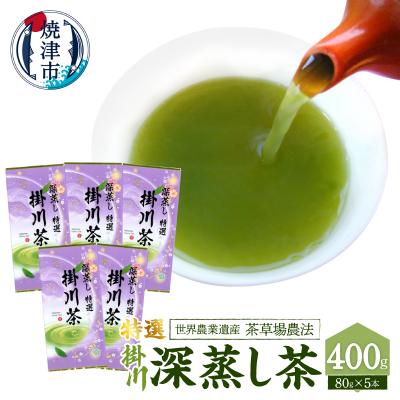 ふるさと納税 焼津市 世界農業遺産「茶草場農法」の深蒸し茶5本セット(a20-492) | 