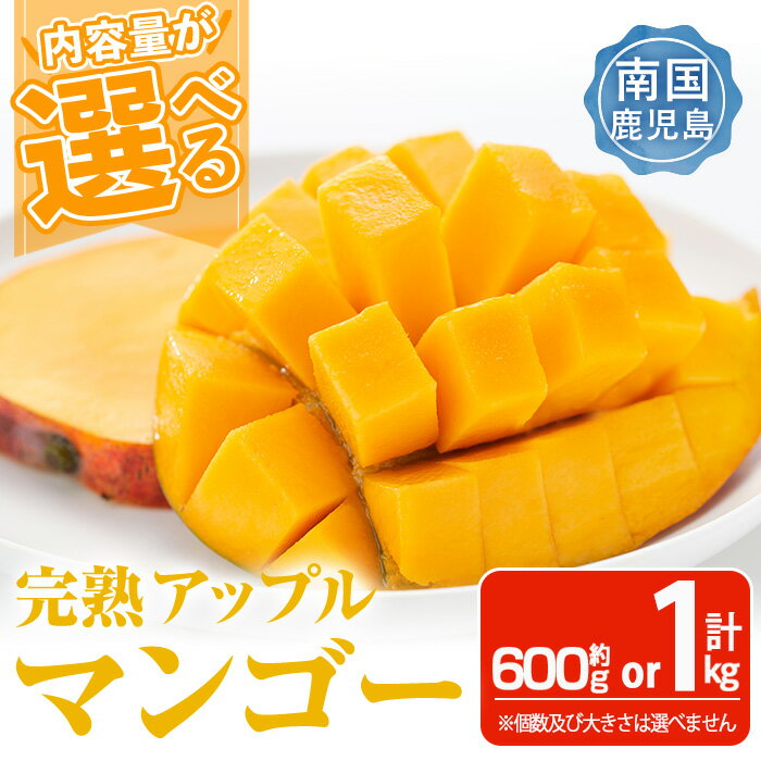 【ふるさと納税】＜先行予約受付中・2026年6月下旬～7月下旬頃に発送予定＞＜選べる内容量！＞ 数量限定 完熟アップルマンゴー「紅」(約600g〜計1kg) マンゴー アップルマンゴー 旬 果物 フルーツ 紅 くだもの 贈答用 家庭用 宮崎県境【大徳産業】