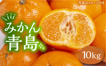 ミカン 青島 10kg《豊前市》【山田農場 フルーツランド】ミカン みかん 青島みかん [VCY012]