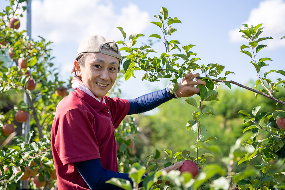 【25年9月〜発送】りんご 權之丞farm つがる 家庭用 約10kg（24〜40玉程度）