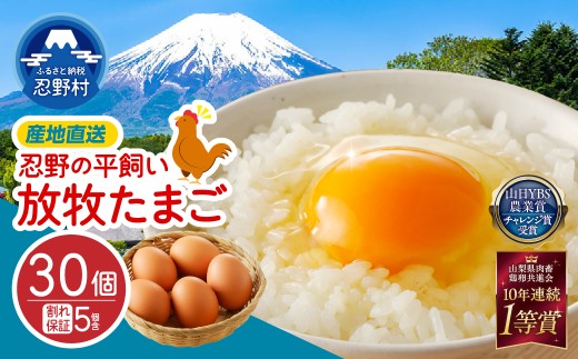 【7月配送分】忍野の平飼い放牧卵30個 ※割れ保証含む　[卵 国産 産地直送 生卵 玉子 たまご 卵かけご飯 卵焼き 親子丼 目玉焼き すき焼き オムライス オムレツ スイーツ作り 料理 調理 人気 鶏卵 鶏 新鮮 山梨県 忍野村]