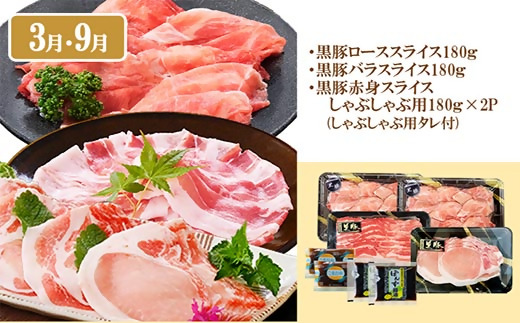 定期便(6回)A5・A4等級黒毛和牛・黒豚etc FF-0061【1166779】 _ ふるさと納税 定期便 牛肉 豚肉 和牛 サーロイン ステーキ 黒豚 ホルモン しゃぶしゃぶ 焼肉 すき焼き もつ