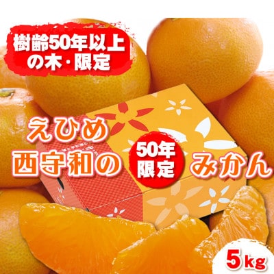 みさき果樹園の段々畑育ち 西宇和産みかん5kg【C21-47】【1676920】