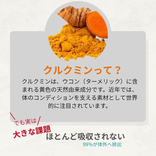高吸収型クルクミン　クルクルージュ62粒入り2本