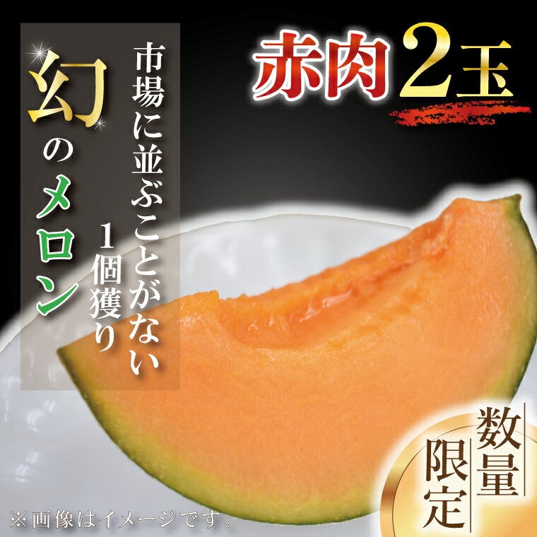 【ふるさと納税】【2025年6月下旬より順次発送】【数量限定】1個獲り★幻のメロン　赤肉(2玉入り1箱)｜メロン 赤肉 赤肉メロン 果物 フルーツ くだもの 旬 幻のメロン 数量限定 先行予約 茨城県 行方市(AY-1)