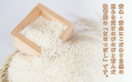 【令和7年産新米】 10月上旬よりお届け あのさんちの美味しいお米 ななつぼし 精米5kg SBTL018