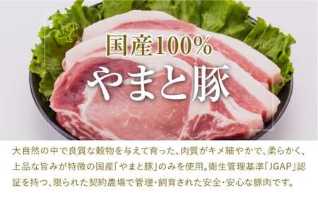 福島県産 やまと豚 生ウインナー 4種 (各5本×2) 豚肉 福島県 田村市