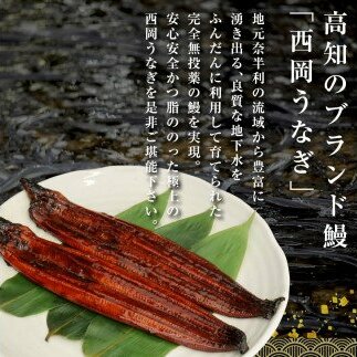 KGP025　緊急支援 人気惣菜 本気の高知ブランド鰻「西岡うなぎ」～上（大サイズ）～うなぎの蒲焼き2尾セット（約330g）タレ・山椒付き｜ウナギ 国産 特産品 高知県産 土佐 食べて応援 蒲焼 焼き