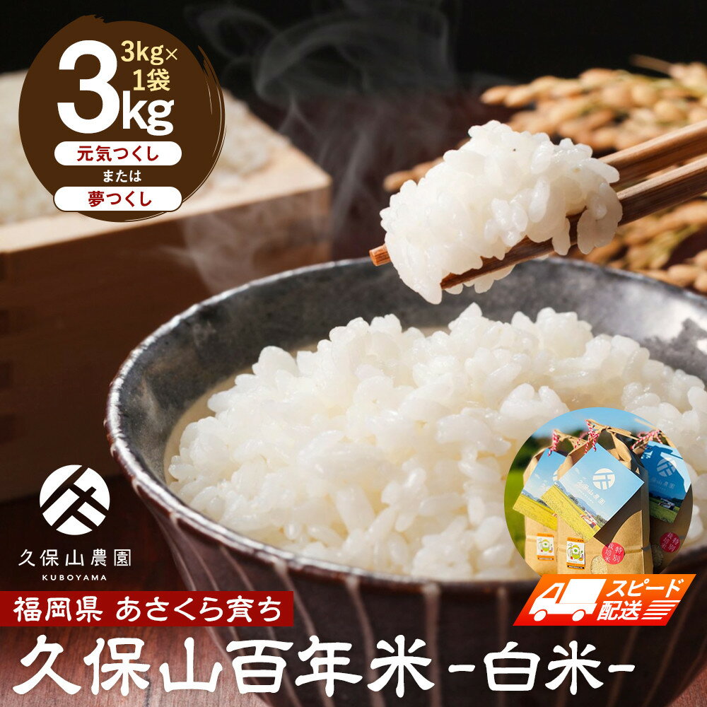 【ふるさと納税】【特別栽培米】久保山百年米-白米3kg×1袋