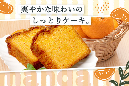 【鹿島高校 共同開発返礼品】SAGAみかん、っ娘。ケーキ 4箱（合計16個入り）B-860 スイーツ ケーキ 焼き菓子 焼菓子 みかん ミカン 蜜柑 みかんケーキ ミカンケーキ お土産 ご当地スイーツ