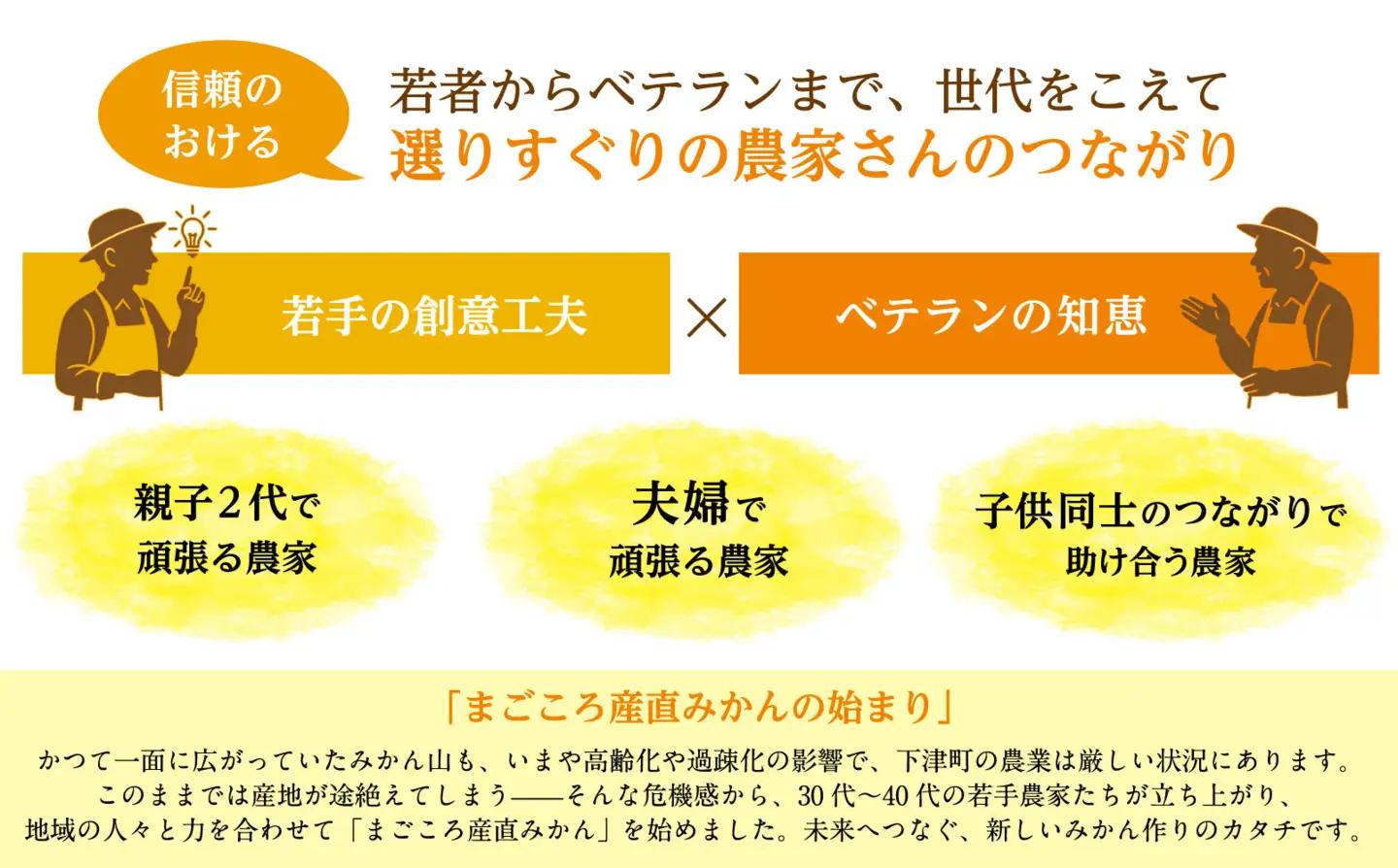 【先行予約】訳あり 海南市 極早生みかん 6.5kg フレッシュな旬の味わいをお届け!2026年10月より順次発送 日南早生みかんなど［Mg2］