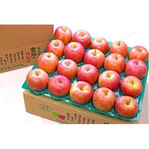 【25年11月より順次発送】平均糖度13度以上! シナノスイート 約5kg 訳あり【配送不可地域：離島・沖縄県】【1609637】