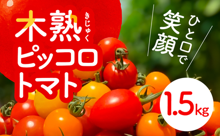 ピッコロトマト1.5㎏