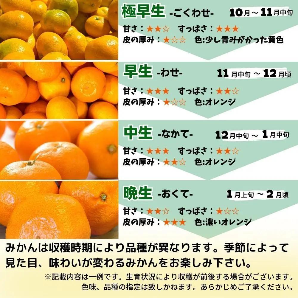みかん 大玉 どっこいしょ 箱込 5kg ( 内容量約 4.4kg ) 2Lサイズ以上 秀品 優品 混合 有田みかん 和歌山県産 産地直送 家庭用［2026年11月中旬より順次出荷予定］