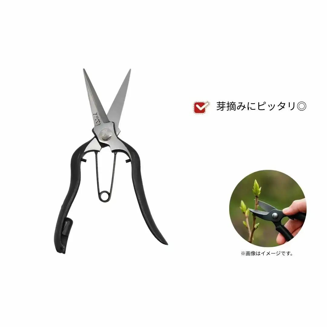 [山人] 打物 シノギ芽切鋏（金止式）はさみ ハサミ せん定 プロ仕様 園芸 盆栽 庭木 庭仕事 果樹 生垣 高級 燕三条製 ガーデニング 【041S025】