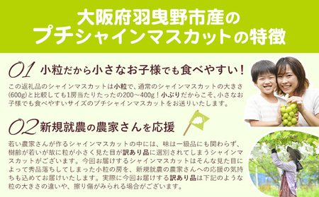 訳ありシャインマスカット プチシャインマスカット約1.3kg(先行予約)《8月上旬-8月下旬頃出荷》シャインマスカットシャインマスカット