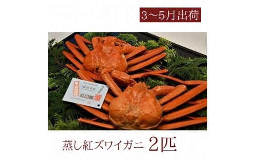 
            【3-5月出荷】蒸し紅ズワイガニ 2匹 ｜ 蟹 カニ かに 紅ズワイガニ ずわい蟹 ずわいガニ ズワイガニ ボイル 国産 魚貝類 魚介類 海鮮 蟹飯 ちらし寿司 人気 豪華 ご褒美 贅沢 お取り寄せグルメ グルメ カニ味噌 蟹みそ 蟹しゃぶ 人気 豪華 ご褒美 贅沢 グルメ お取り寄せ 富山県 富山湾 魚津市 ※2026年3月上旬～5月下旬頃に順次発送予定 ※北海道・沖縄・離島への配送不可
          