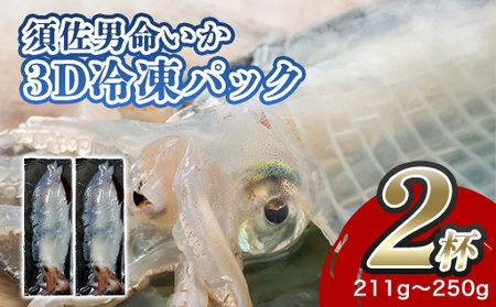 自宅で透明感を再現！須佐男命いかの姿造り（刺身）特殊冷却「3D冷凍」パック 2個セット｜HG000428