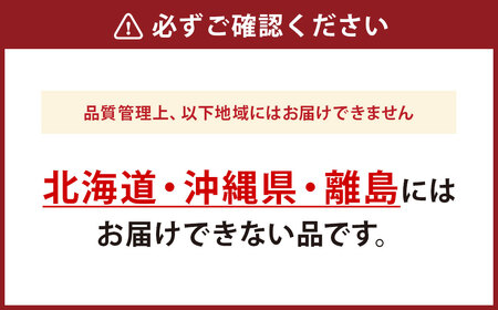 【先行予約】とうもろこし ドルチェドリーム 10本 [マルヨシ園芸 山梨県 中央市 21470552] 朝採り 新鮮 期間限定 トウモロコシ 甘い ジューシー 野菜 農家直送 【2026年6月下旬～7