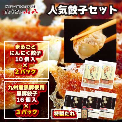 大好評！山八の人気餃子セット[H3215]