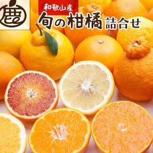 ＜1月より発送＞厳選 柑橘詰合せ3kg+90g（傷み補償分）【有田の春みかん詰め合わせ・フルーツ詰め合せ・オレンジつめあわせ】【光センサー選別】