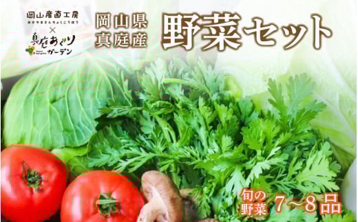 真庭あぐり野菜セット カット野菜が1品入る 7～8品 産地直送 詰め合わせ 農家 野菜 お節介野菜 お試し 少人数セット おためし野菜 岡山県 旬の野菜 新鮮 子育て応援 おいしい 地産地消 おすすめ 食育 あぐりガーデン 国産   国産 安心 アラカルト おまかせ 【yasai001】