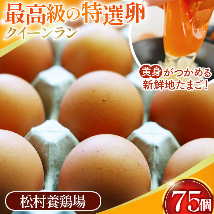 【ふるさと納税】黄身がつかめる新鮮地たまご クイーンラン 赤玉 75個入［No.591］ ／ 卵 新鮮卵 卵かけご飯 TKG 濃厚卵 黄身 弾力卵 生卵 卵料理 大容量 卵まとめ買い 新鮮食材 朝食食材 料理食材 家庭用卵 送料無料 埼玉県