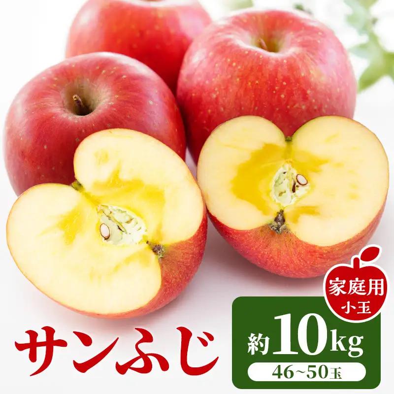 りんご サンふじ 小玉 約10kg 林檎 リンゴ