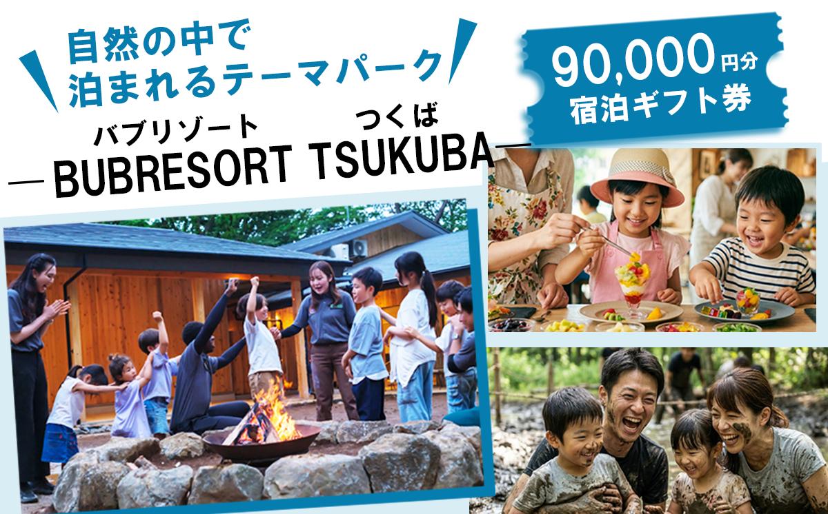 
                  家族で感動体験！ BUB RESORT Tsukuba 利用クーポン券 ( 90000円分 ） │ グランピング 宿泊券 宿泊チケット 宿泊補助券 宿泊利用券 キャンプ リゾート 体験 チケット こども 旅行 ファミリー  バブリゾート サウナ 夏休み 茨城県 つくば市
                