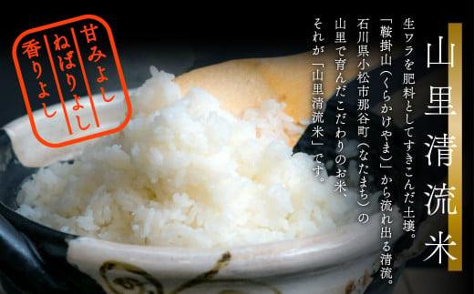 《令和8年産》【最高の食味】山里清流米こしひかり 5kg 石川県 小松市 有限会社ジャパンファーム