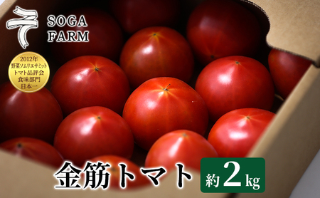 【2025年6月発送】SOGA FARM　金筋トマト 2025年 先行予約 トマト 野菜 とまと 新潟 