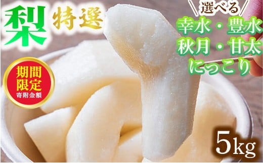 ＼12月末まで 寄附額改定／【にっこり】【選べる】梨 特選 5kg 標準箱 幸水 豊水 秋月 甘太 にっこり｜ 栃木県産 果物 フルーツ　※離島への配送不可