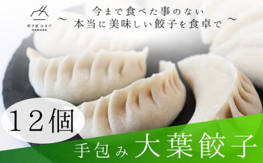手包み大葉餃子Sパック　12個入り