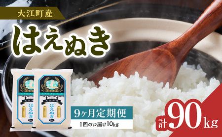 【新米】 《9ヶ月定期便》大江町産 はえぬき 10kg(5kg×2袋)×9ヶ月(計90kg)【山形県産】【2025年度産米】 001-T26