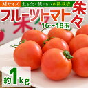 【ふるさと納税】フルーツトマト 朱朱 Mサイズ (計1kg・16-18玉) M 高糖度 糖度 フルーツトマト トマト 野菜 サラダ 大分県 佐伯市 九州産 国産 大分県 佐伯市【CH63】【(株)サニープレイス】