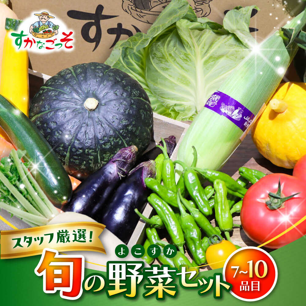 【ふるさと納税】よこすか野菜セット すかなボックス / 野菜 やさい 野菜ボックス 野菜セット 野菜詰め合わせ 野菜BOX 【JAよこすか葉山】[ASCB001] 1万円 10000円 1万円以下 10000円以下