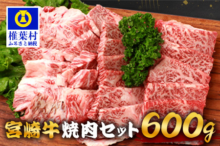 宮崎牛 焼肉セット 600g TK-97 [宮崎県 椎葉村 宮崎牛 和牛 黒毛和牛 牛肉 ぎゅうにく 牛 うし ぎゅう 肉 お肉 にく おにく 焼き肉 焼肉 やきにく 精肉 もも モモ肉 バラ バラ肉 600g 人気 おすすめ 送料無料]