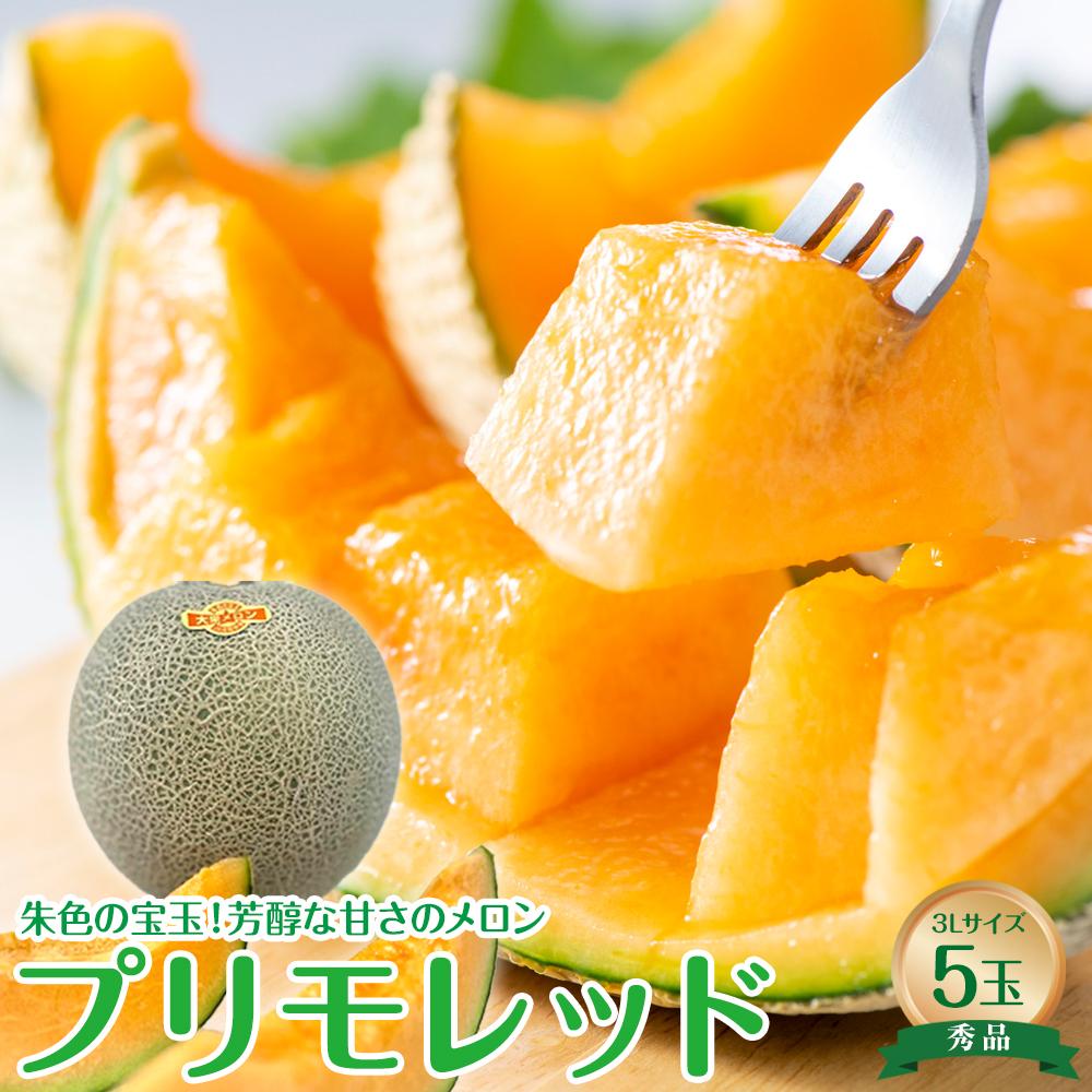 【ふるさと納税】739.【先行予約】【JA】大栄メロン　プリモレッド（赤肉）赤秀3L×5玉　※着日指定不可　※離島への配送不可　※2026年9月末頃～10月下旬頃に順次発送予定 | 先行予約 メロン 果物 くだもの フルーツ 大栄メロン 赤肉 秀品 旬 甘いおすすめ 人気