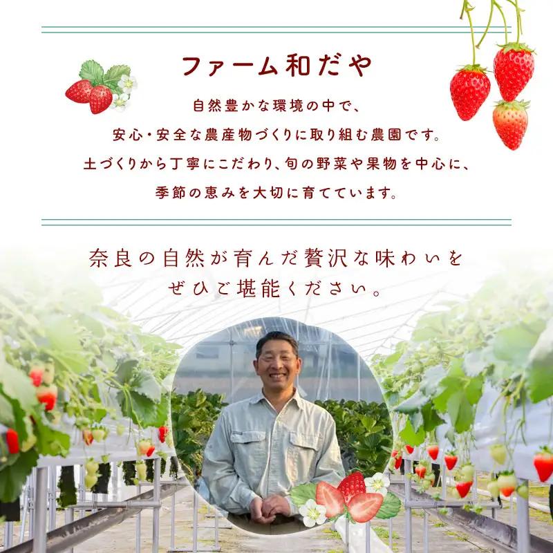【2027年1月～発送】ならあかり 260g×2パック