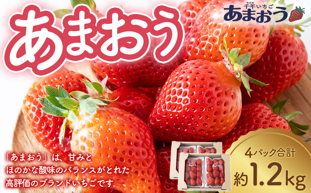 千年いちご あまおうイチゴ (300g×4パック) 2月お届け あまおう いちご イチゴ 苺 フルーツ 果物 冷蔵 送料無料 福岡県 うきは市 【2026年2月より順次発送予定】