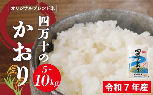 
                  米 5～10kg 【 令和7年産 】コシヒカリ 香り米 ヒエリ 入り 四万十のかおり 国産 こしひかり ブレンド 精米 白米 ごはん おいしい ふっくら もちもち 高知県 四万十市 四万十 しまんと 土佐
                