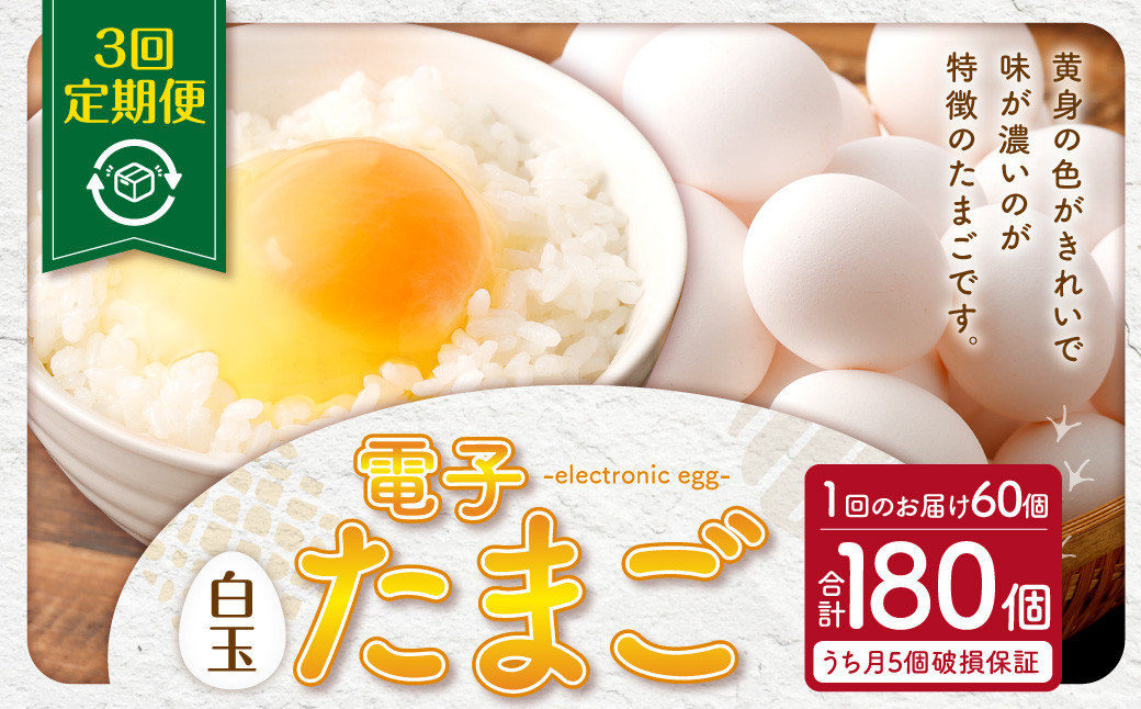 【3ヶ月定期便】電子たまご(白玉) 合計180個(60個×3回)